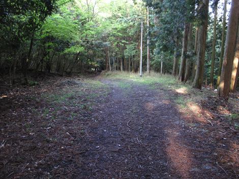20140502hike (429)